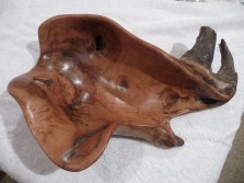 burl - rhino