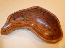 burl - porpoise